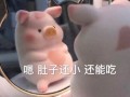 早中晚沙雕文案，早中晚沙雕文案短句