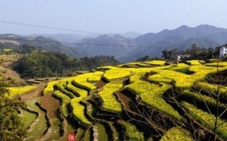 瑞安春天游玩攻略，瑞安春天游玩攻略一日游