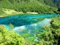 到九寨沟游玩攻略，到九寨沟游玩攻略一日游