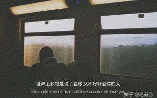 喜玫瑰文案沙雕，喜欢玫瑰的文案