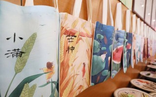 24节气情景短剧，24节气情景短剧视频