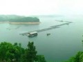 益阳桃花湖游玩攻略，益阳桃花湖游玩攻略一日游