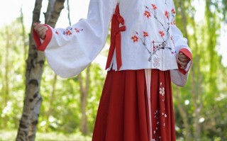 汉服穿搭初中女生，汉服穿搭初中女生图片