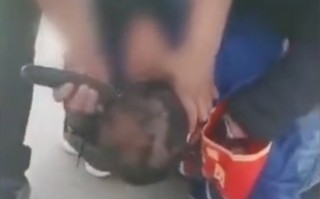 恶搞视频抹灰，恶搞视频突然蹦出鬼