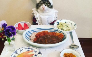 cosplay美食教程，cosplay吃饭